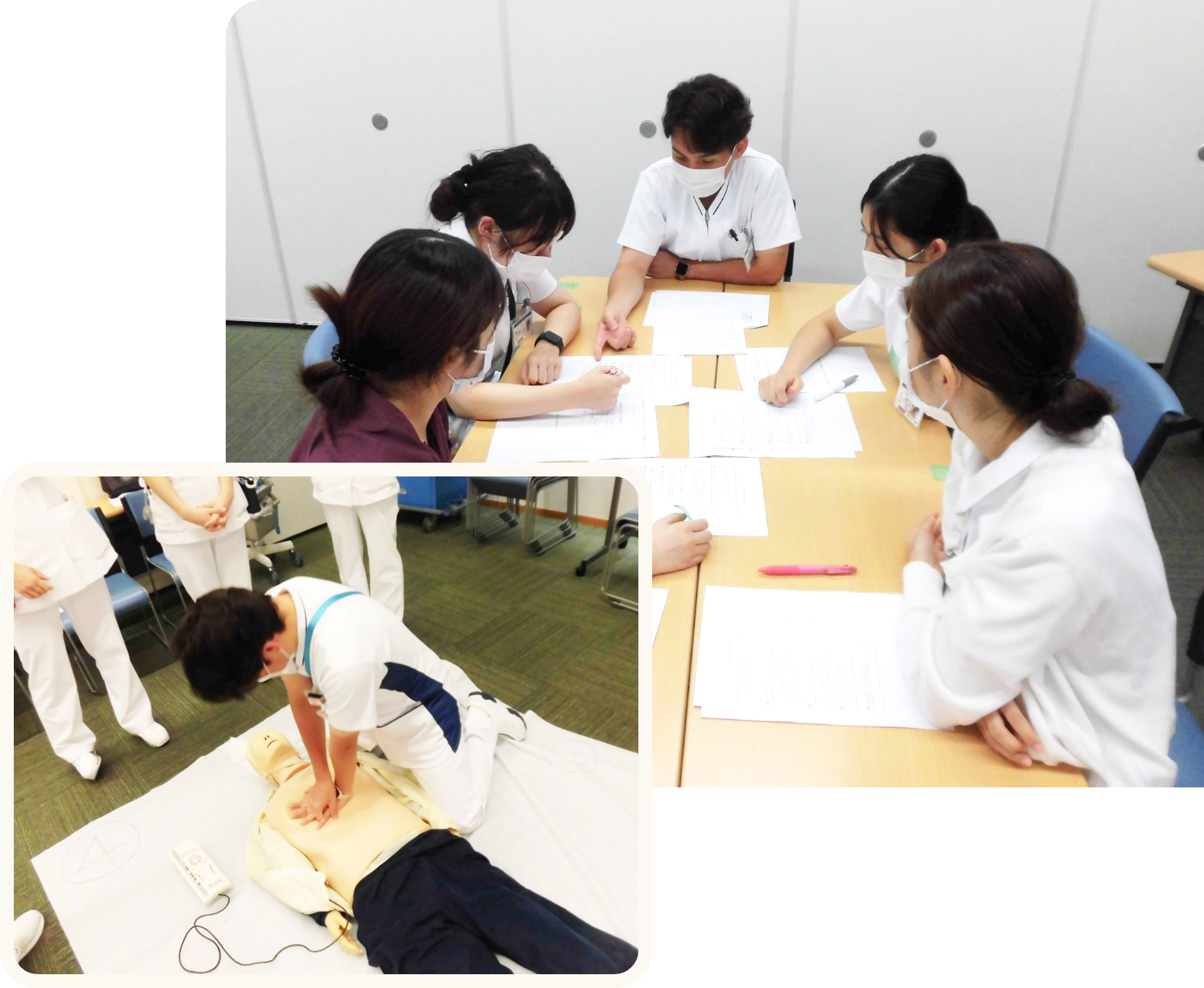 教育・研修制度